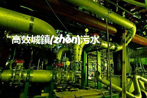 “高效城鎮(zhèn)污水處理流程，守護碧水藍天新篇章”